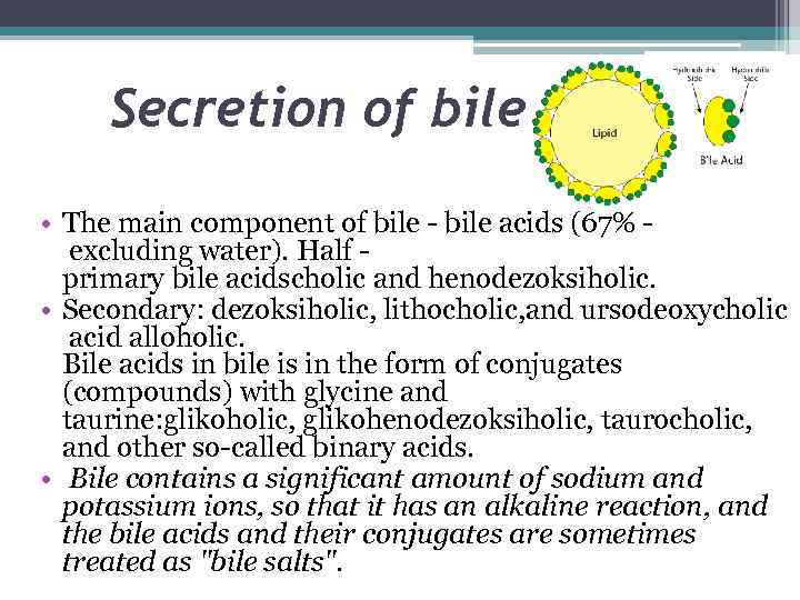 Secretion of bile • The main component of bile - bile acids (67% excluding