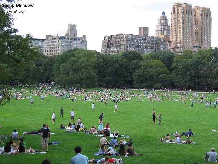 Sheep Meadow Овечий луг 