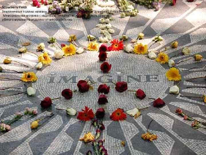 Strawberry Fields Земляничные поляны названы в честь песни Джона Леннона 