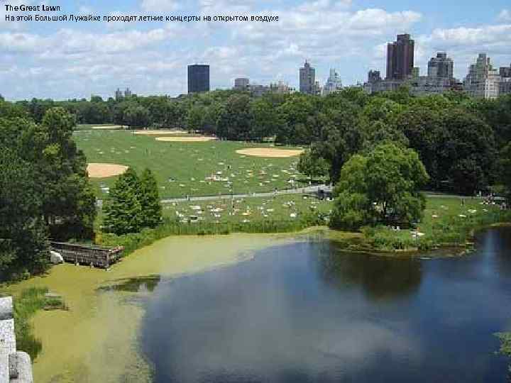 Центральный парк сайт. Центральный парк в Нью-Йорке пруд. Озеро в Центральном парке Нью-Йорка. Пруд в Центральном парке Нью-Йорка. Центральный парк Нью-Йорка водохранилище.