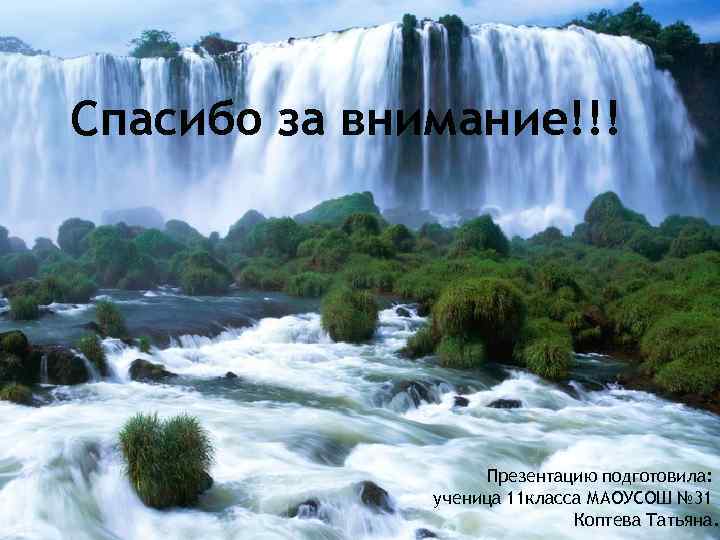 Спасибо за внимание!!! Презентацию подготовила: ученица 11 класса МАОУСОШ № 31 Коптева Татьяна. 