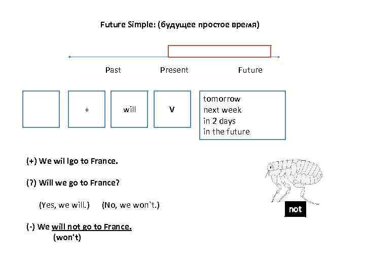 Future Simple: (будущее простое время) Past + Present will V Future tomorrow next week