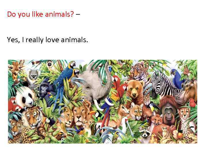 Do you like animals? – Yes, I really love animals. 