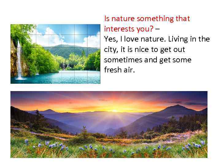 Is nature something that interests you? – Yes, I love nature. Living in the