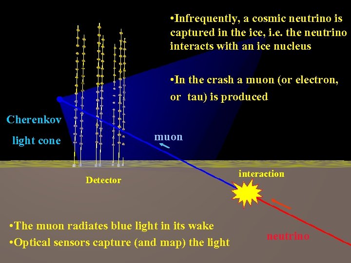  • Infrequently, a cosmic neutrino is captured in the ice, i. e. the