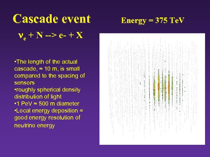 Cascade event e + N --> e- + X • The length of the
