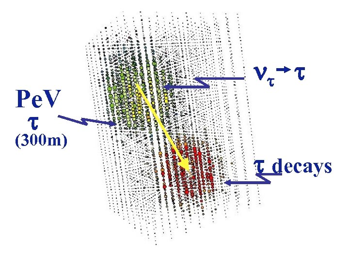 Pe. V (300 m) decays 