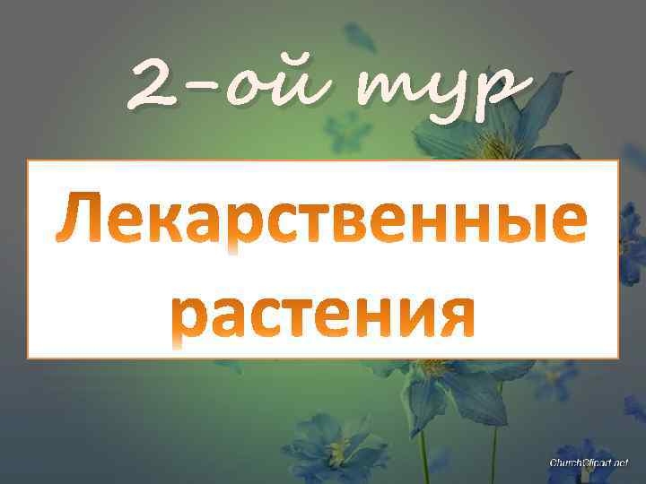 2 -ой тур 