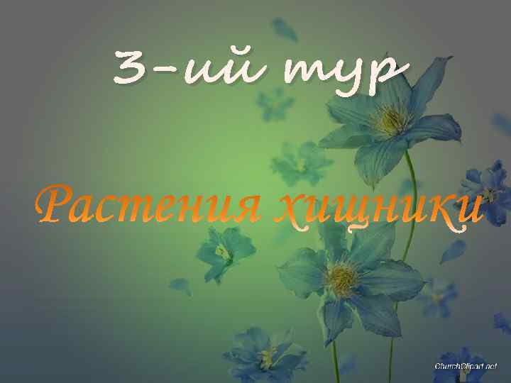 3 -ий тур 