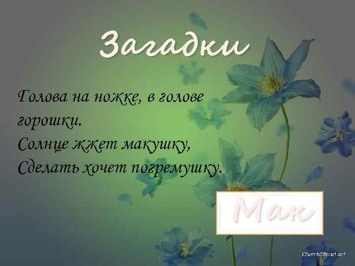 Загадки Голова на ножке, в голове горошки. Солнце жжет макушку, Сделать хочет погремушку. Мак