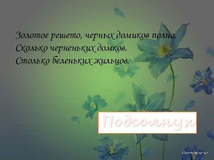 Золотое решето, черных домиков полно. Сколько черненьких домков. Столько беленьких жильцов. Подсолнух 