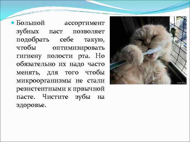  Большой ассортимент зубных паст позволяет подобрать себе такую, чтобы оптимизировать гигиену полости рта.