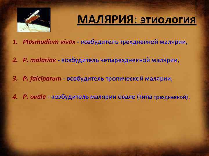 МАЛЯРИЯ: этиология 1. Plasmodium vivax - возбудитель трехдневной малярии, 2. Р. malariae - возбудитель