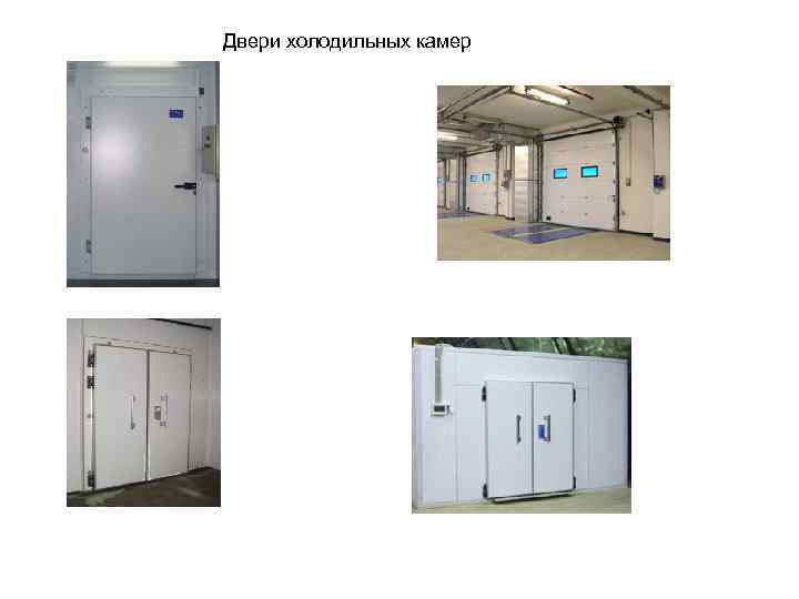 Двери холодильных камер 