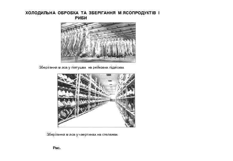 ХОЛОДИЛЬНА ОБРОБКА ТА ЗБЕРІГАННЯ М ЯСОПРОДУКТІВ І РИБИ Зберігання м яса у півтушах на