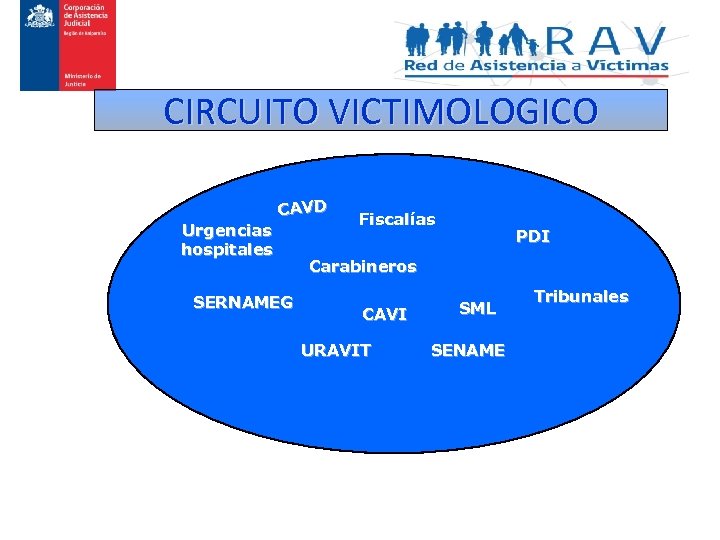 CIRCUITO VICTIMOLOGICO CAVD Urgencias hospitales SERNAMEG Fiscalías PDI Carabineros CAVI URAVIT SML SENAME Tribunales