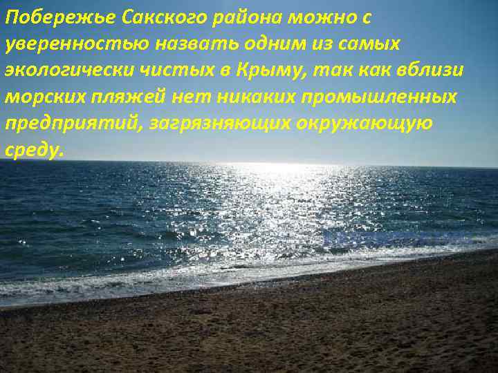 Побережье Сакского района можно с уверенностью назвать одним из самых экологически чистых в Крыму,