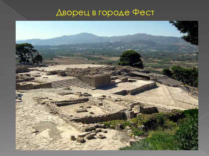 Дворец в городе Фест 