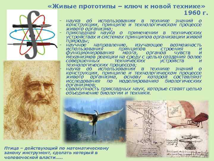  «Живые прототипы – ключ к новой технике» 1960 г. - наука об использовании