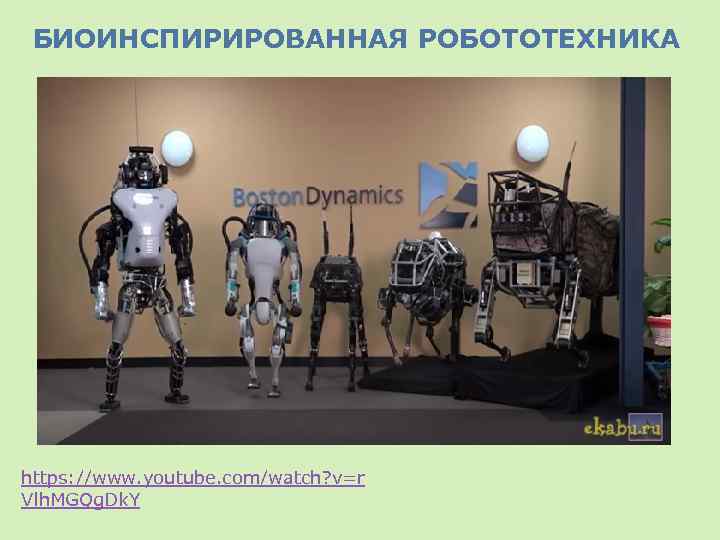 БИОИНСПИРИРОВАННАЯ РОБОТОТЕХНИКА https: //www. youtube. com/watch? v=r Vlh. MGQg. Dk. Y 