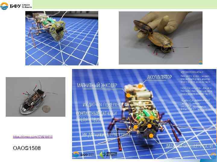 https: //vimeo. com/178918815 OAOS 1508 