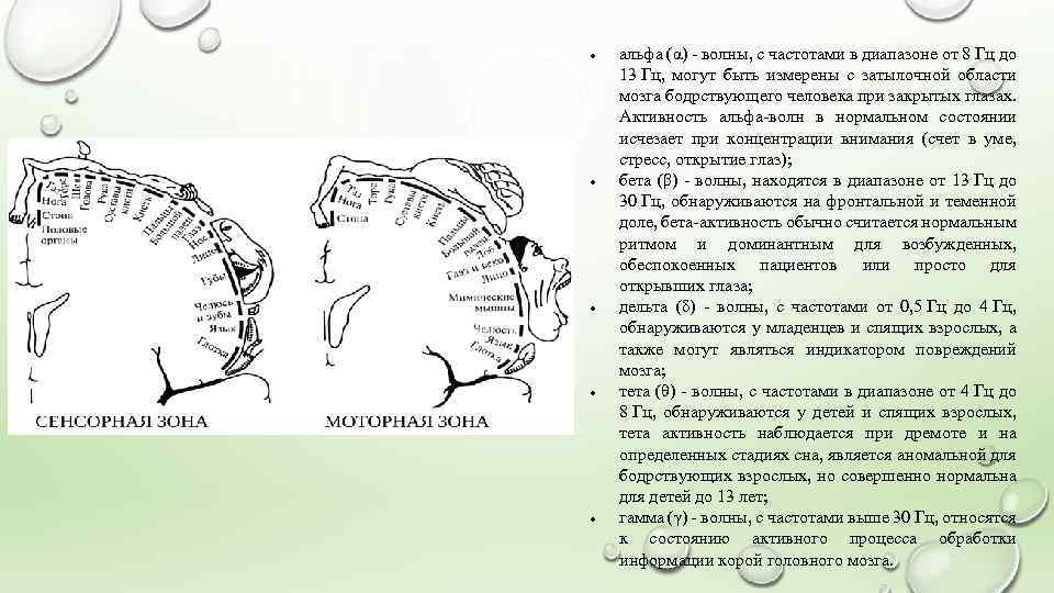  альфа (α) - волны, с частотами в диапазоне от 8 Гц до 13