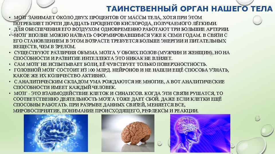 Какой процент от человеческого тела занимает мозг. Нейротехнологии презентация. Нейротехнологии реферат. Как мозг получает кислород. Какой процент тела занимает мозг.