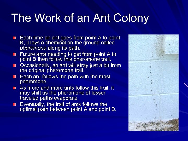 The Work of an Ant Colony Each time an ant goes from point A