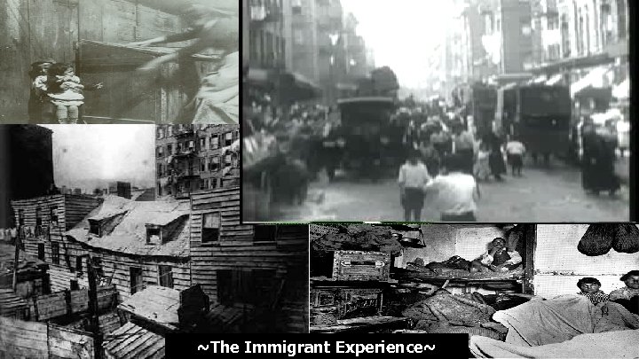 ~The Immigrant Experience~ 