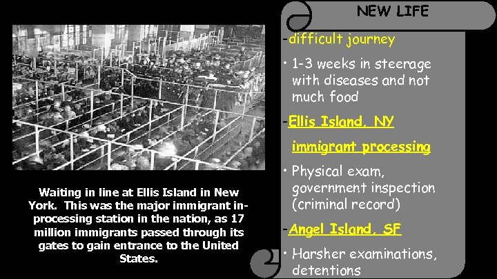 NEW LIFE -difficult journey • 1 -3 weeks in steerage with diseases and not