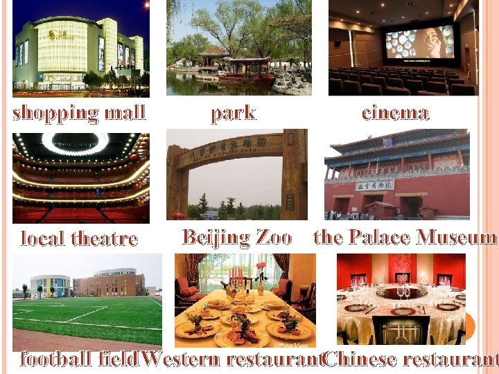 shopping mall local theatre park cinema Beijing Zoo the Palace Museum football field Western