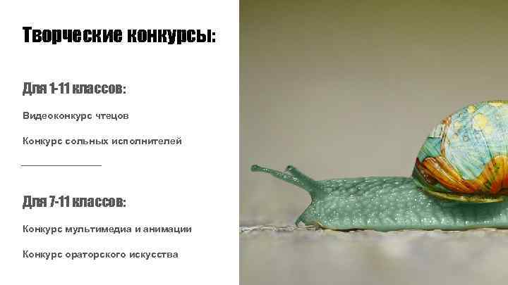 Творческие конкурсы: Для 1 -11 классов: Видеоконкурс чтецов Конкурс сольных исполнителей Для 7 -11