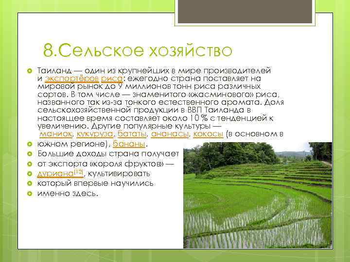 8. Сельское хозяйство Таиланд — один из крупнейших в мире производителей и экспортёров риса: