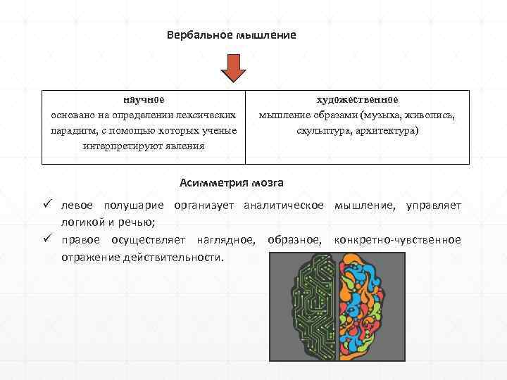 Вербальное мышление научное основано на определении лексических парадигм, с помощью которых ученые интерпретируют явления