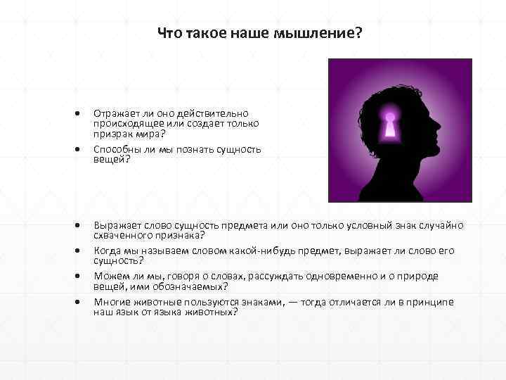 Что такое наше мышление? Отражает ли оно действительно происходящее или создает только призрак мира?