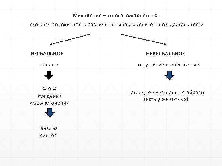 Языковая картина мира это совокупность знаний о мире в вербальной и невербальной форме