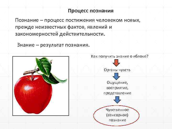 Процесс познания Познание – процесс постижения человеком новых, прежде неизвестных фактов, явлений и закономерностей