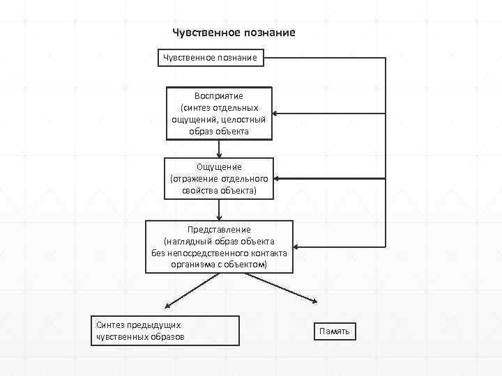 Чувственное познание Восприятие (синтез отдельных ощущений, целостный образ объекта Ощущение (отражение отдельного свойства объекта)