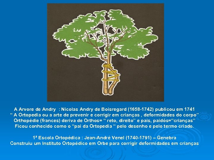 A Arvore de Andry : Nicolas Andry de Boisregard (1658 -1742) publicou em 1741