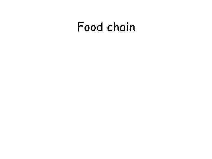 Food chain 