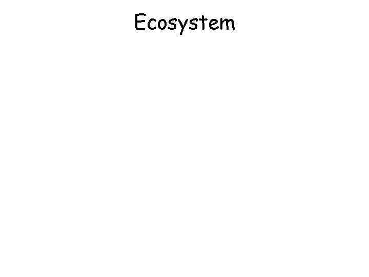 Ecosystem 