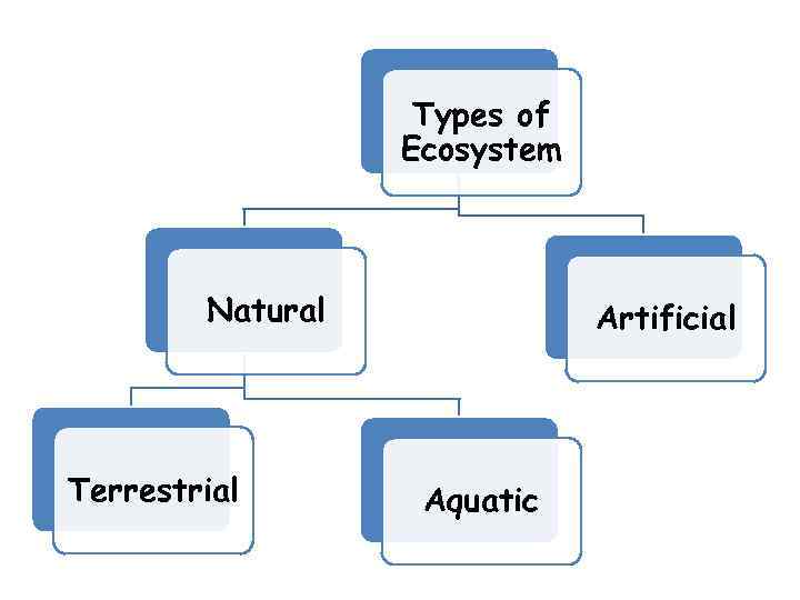 Types of Ecosystem Natural Terrestrial Artificial Aquatic 