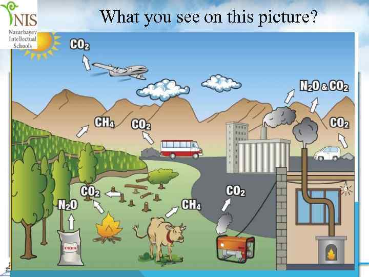 What you see on this picture? 