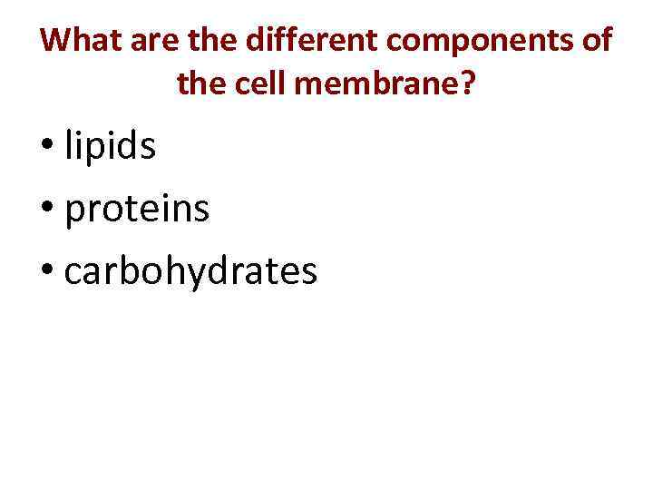 What are the different components of the cell membrane? • lipids • proteins •