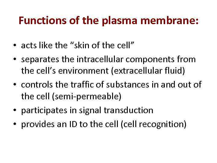 Functions of the plasma membrane: • acts like the “skin of the cell” •