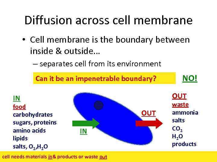 Diffusion across cell membrane • Cell membrane is the boundary between inside & outside…