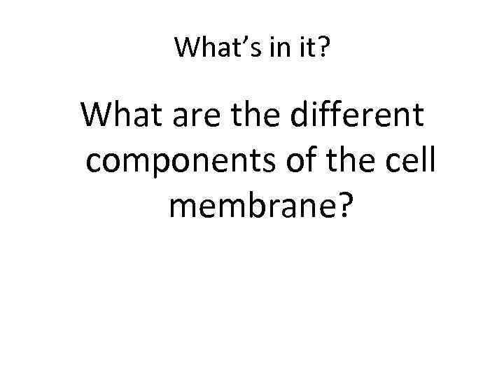 What’s in it? What are the different components of the cell membrane? 
