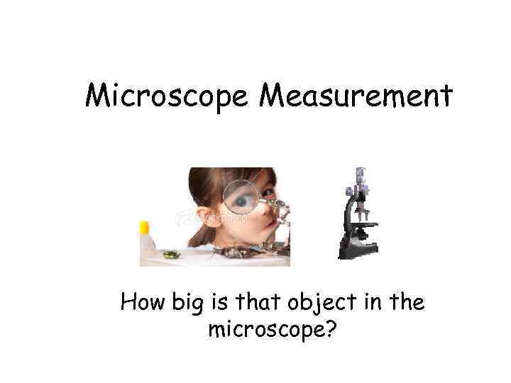 Microscope Measurement How big is that object in the microscope? 