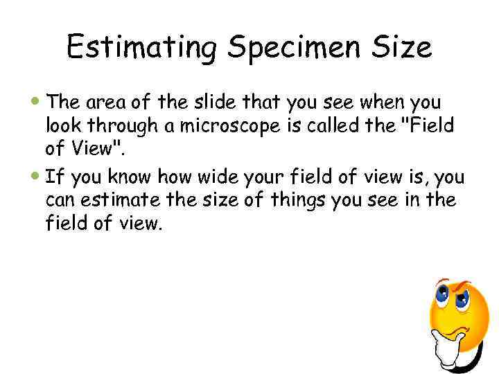 Estimating Specimen Size The area of the slide that you see when you look