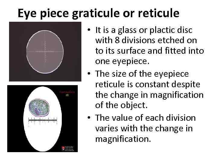 Eye piece graticule or reticule • It is a glass or plactic disc with